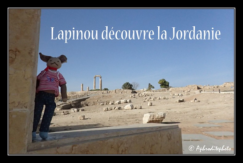 Lapinou In Jordan 2019